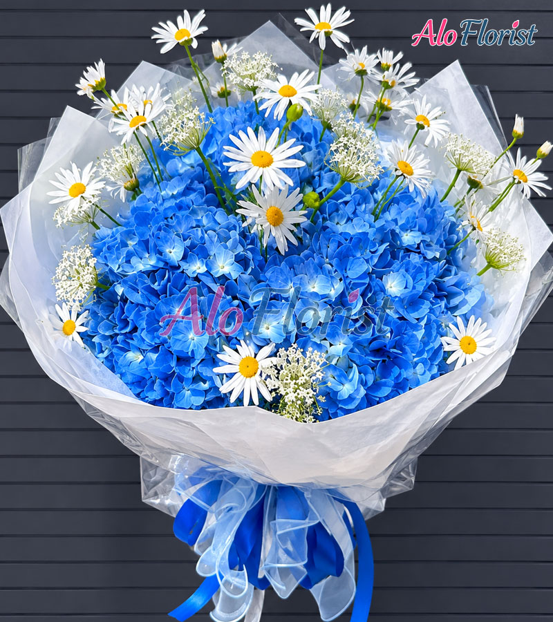 Bản Giao Hưởng Xanh Alo-SN-001