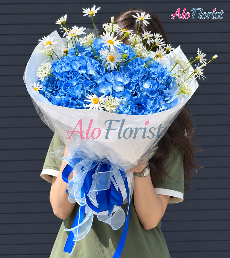 Bản Giao Hưởng Xanh Alo-SN-001