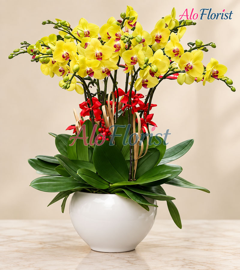 Ánh Ngọc Kiêu Sa Alo-LHD-024