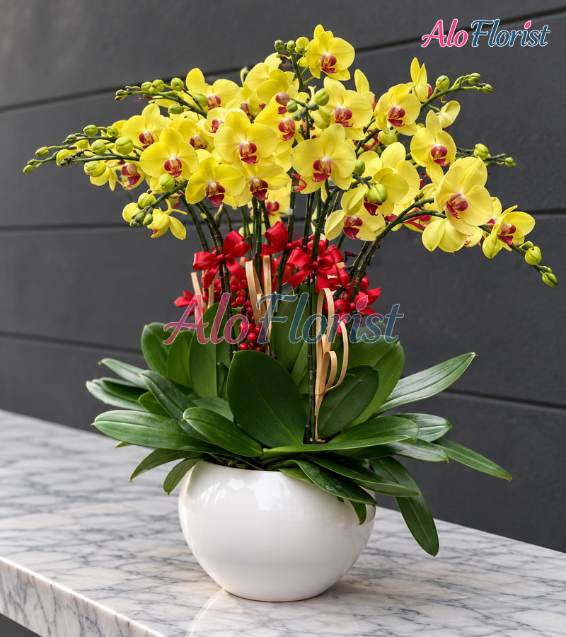 anh-ngoc-kieu-sa-alo-lhd-024-2-aloflorist