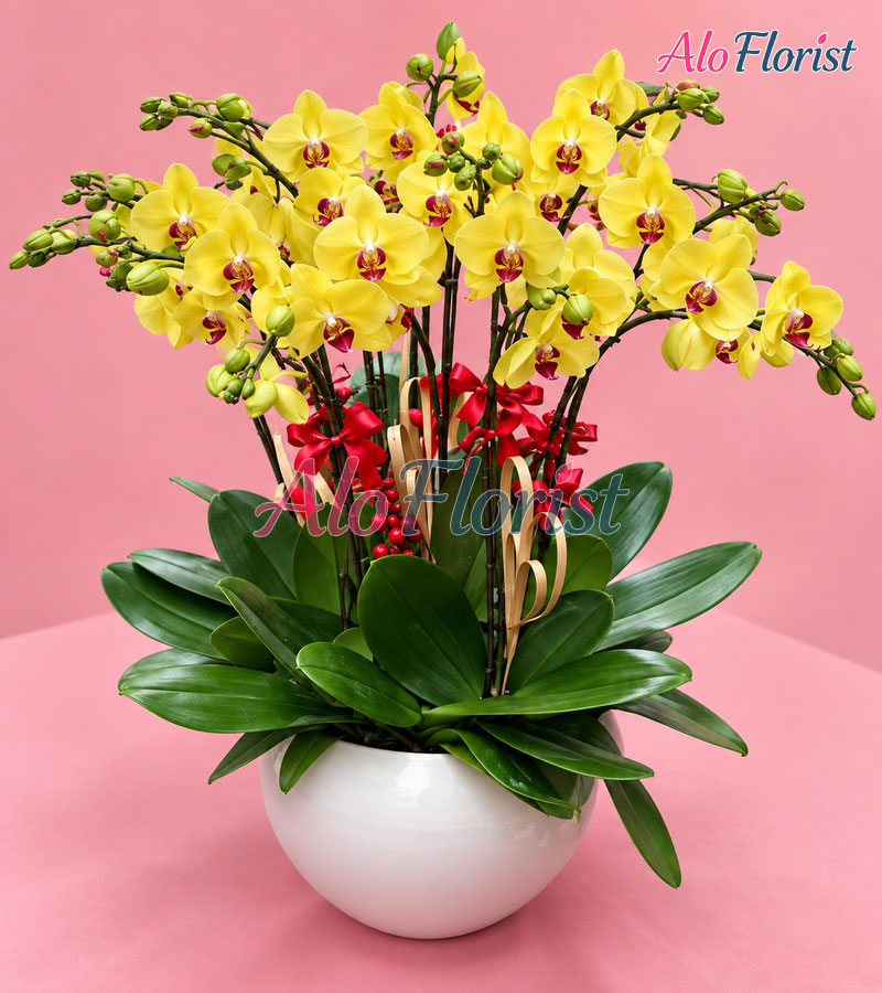 anh-ngoc-kieu-sa-alo-lhd-024-3-aloflorist