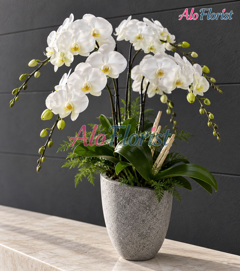 cat-tuong-nhu-y-alo-lhd-005-2-aloflorist