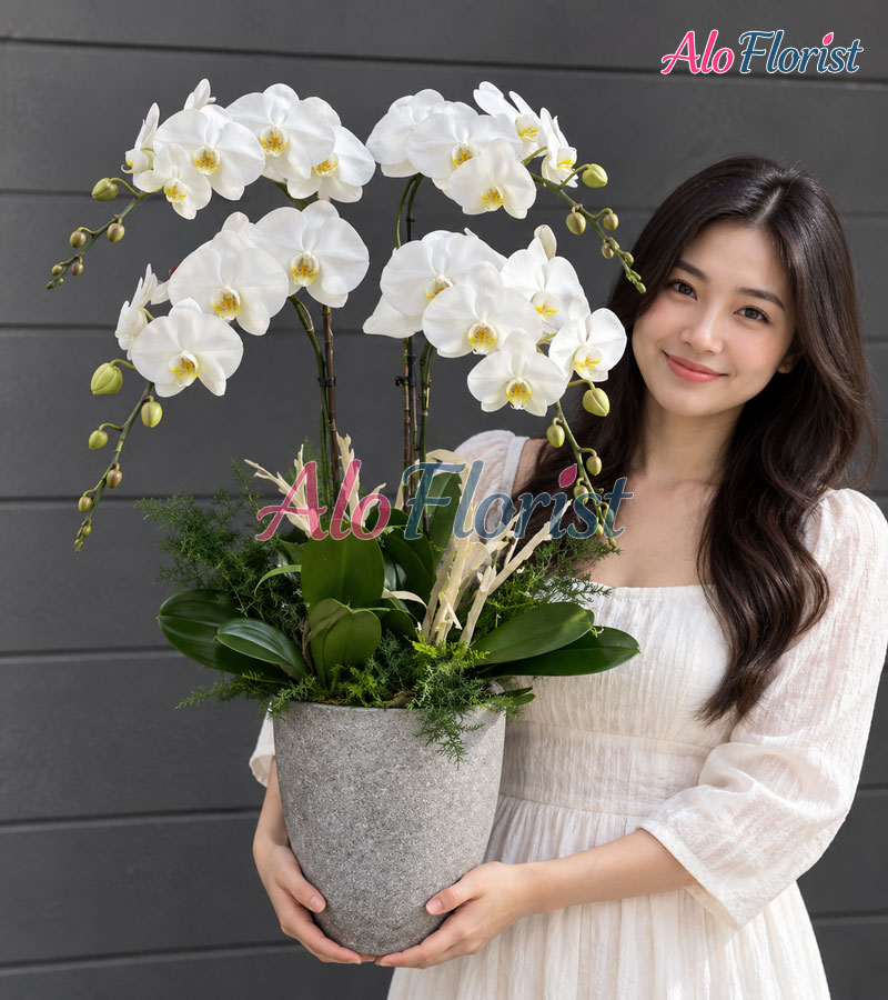 cat-tuong-nhu-y-alo-lhd-005-4-aloflorist