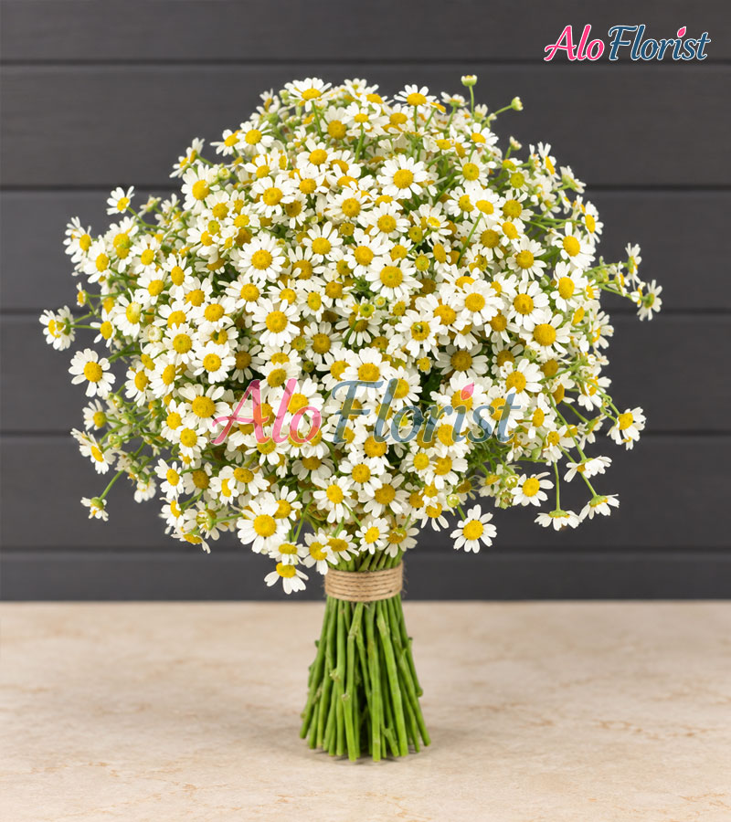 Chờ Anh Alo-HC-002