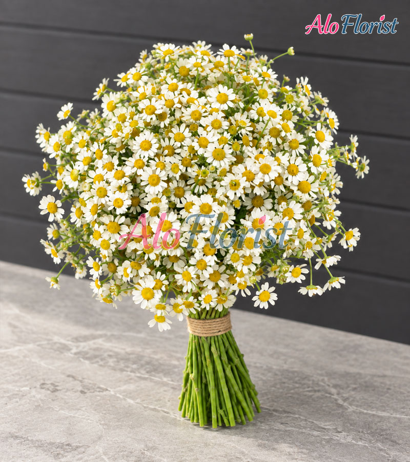 choanh-alo-hc-002-2-aloflorist