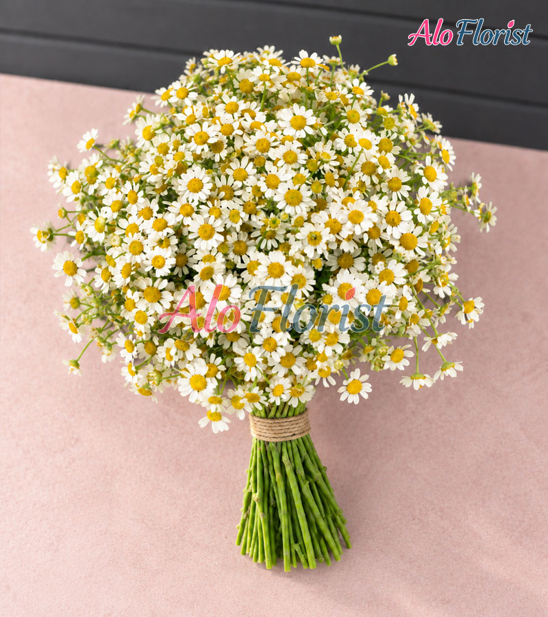 choanh-alo-hc-002-3-aloflorist