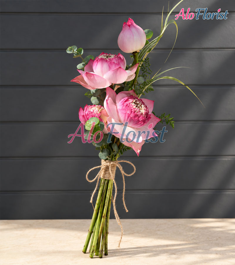 Con Đường Hạnh Phúc Alo-HC-012