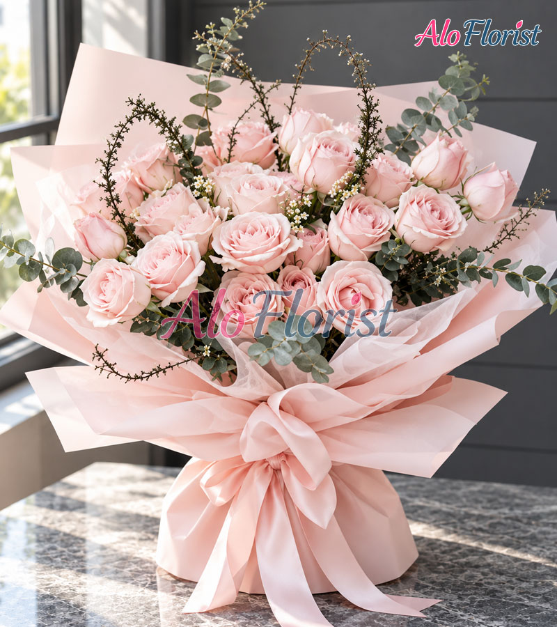 Giấc Mơ Hồng Alo-TY-024