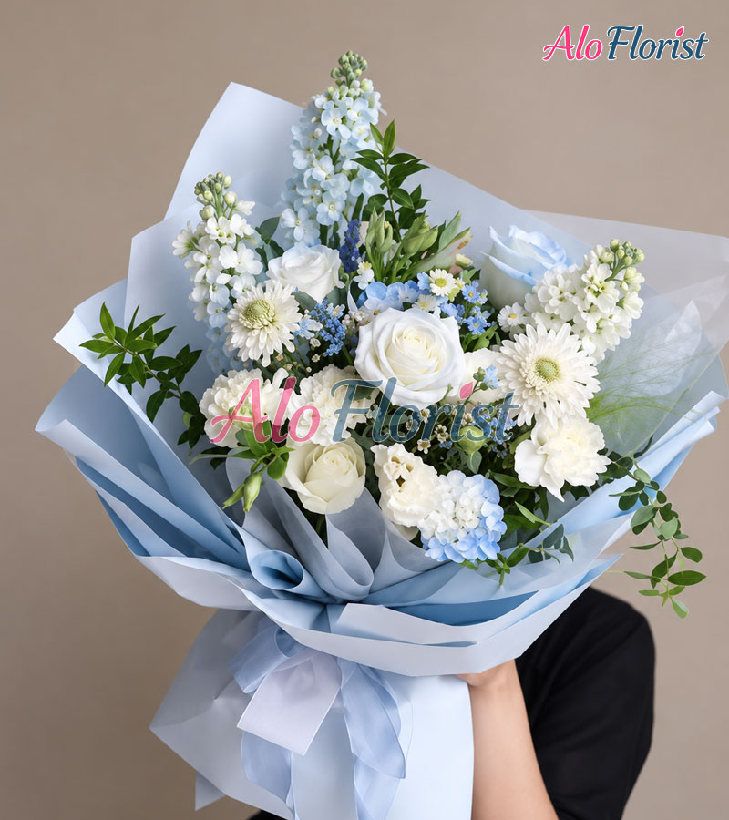 Gió Xanh Mây Trắng Alo-TY-020