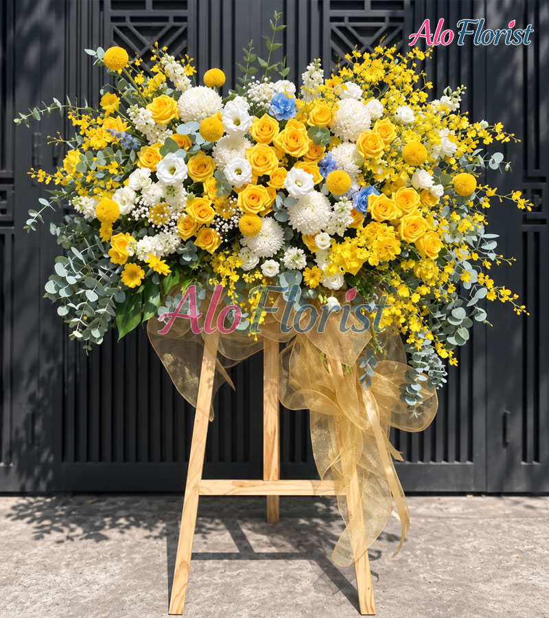 Hành Trình Tỏa Sáng Alo-KT-031