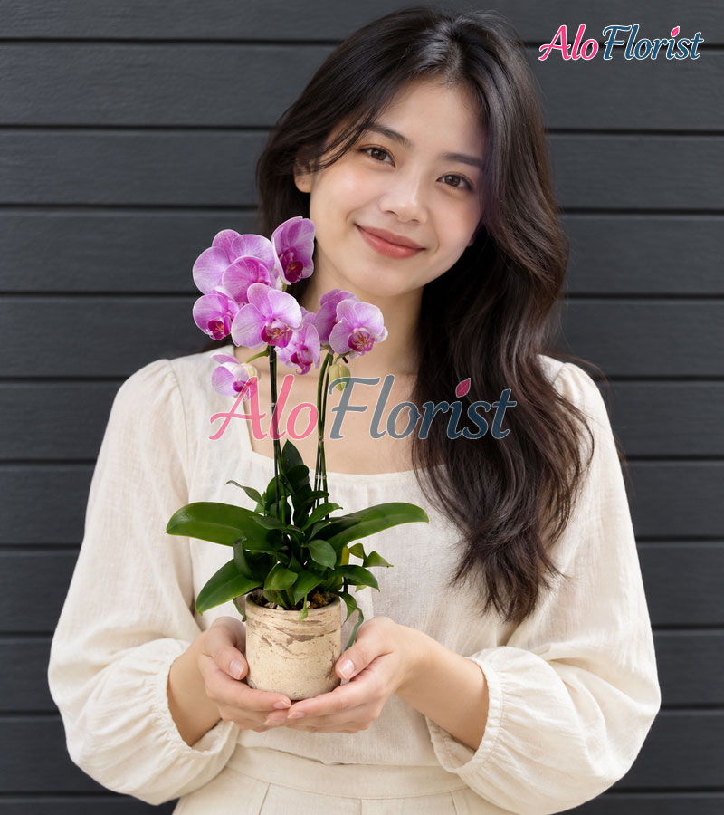 hoang-kim-vuong-phat-alo-lhd-025-5-aloflorist