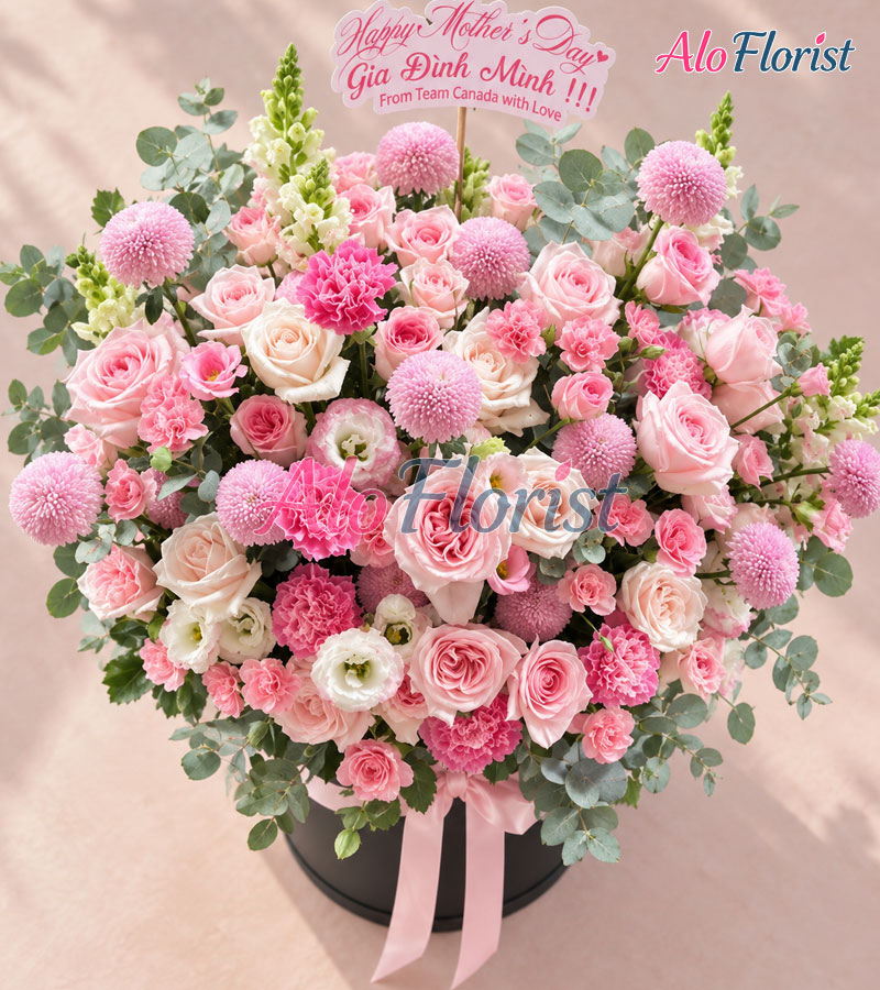 hong-thuong-dong-day-alo-sn-016-2-aloflorist