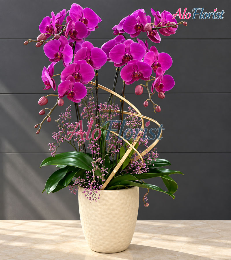 Hưng Thịnh Phát Alo-LHD-004