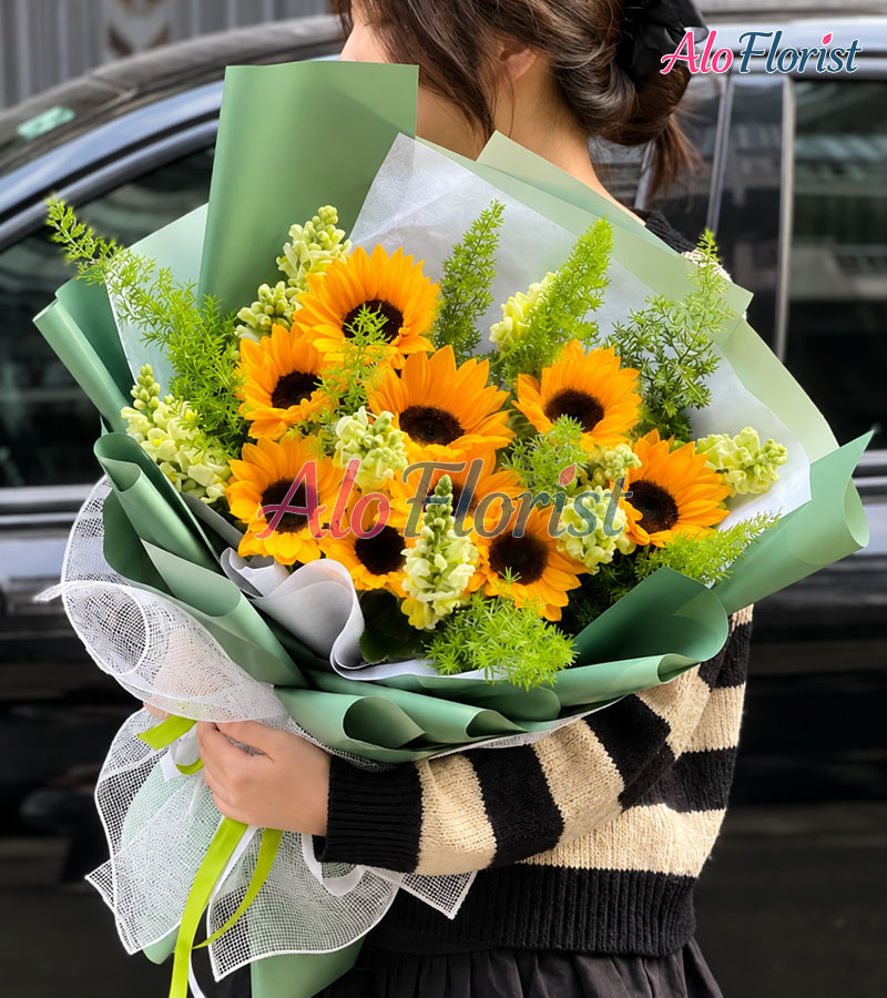 Hướng Dương Ngày Mới Alo-TN-003
