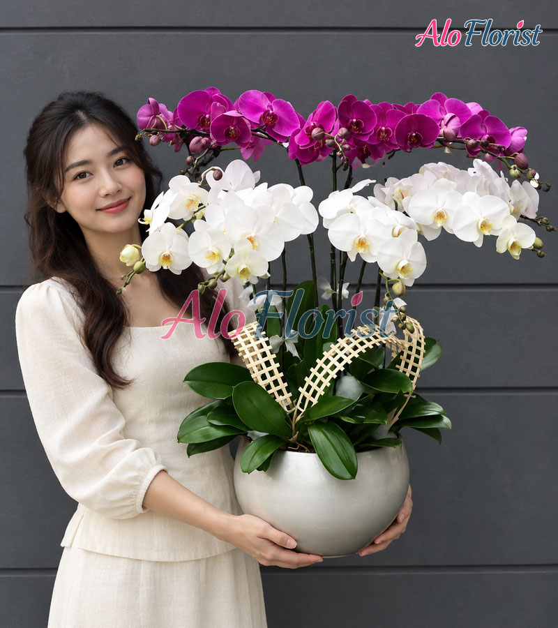 huong-sac-thinh-vuong-alo-lhd-018-5-aloflorist
