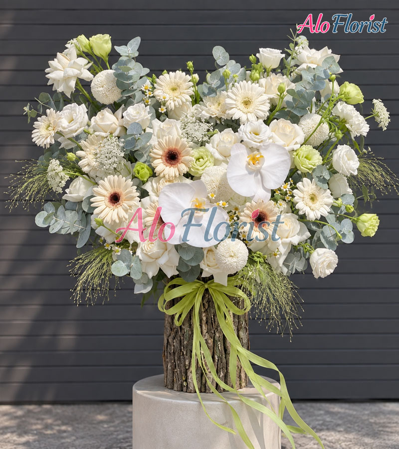 Khải Hoàn Alo-KT-010