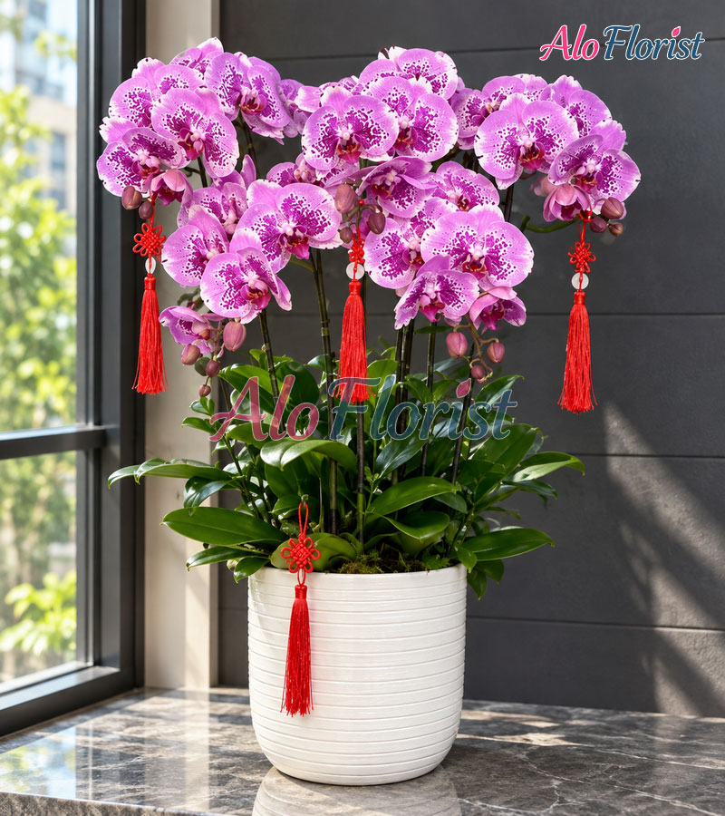 khoi-sac-thanh-cong-alo-lhd-009-4-aloflorist