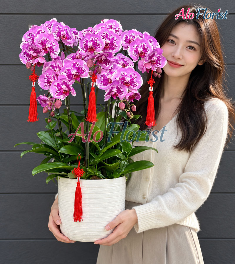 khoi-sac-thanh-cong-alo-lhd-009-5-aloflorist