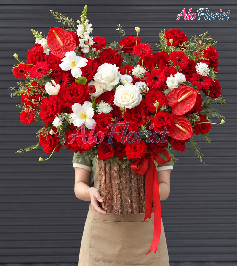 May Mắn Alo-KT-019