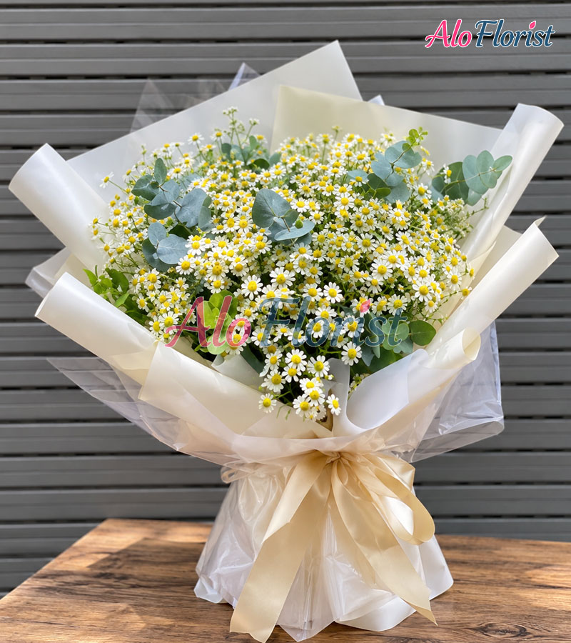 may-trang-ngay-xanh-alo-tn-012-4-aloflorist