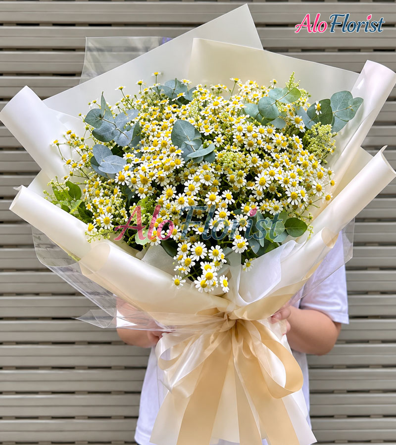 Mây Trắng Ngày Xanh Alo-TN-012