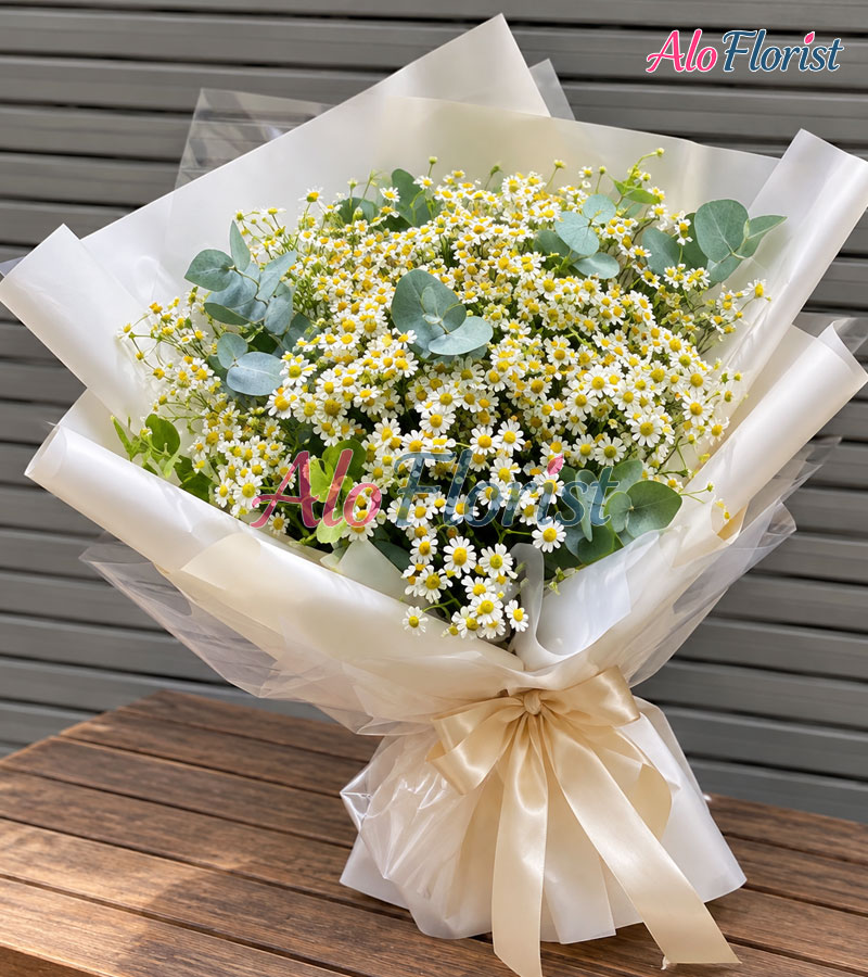 may-trang-ngay-xanh-alo-tn-012-aloflorist