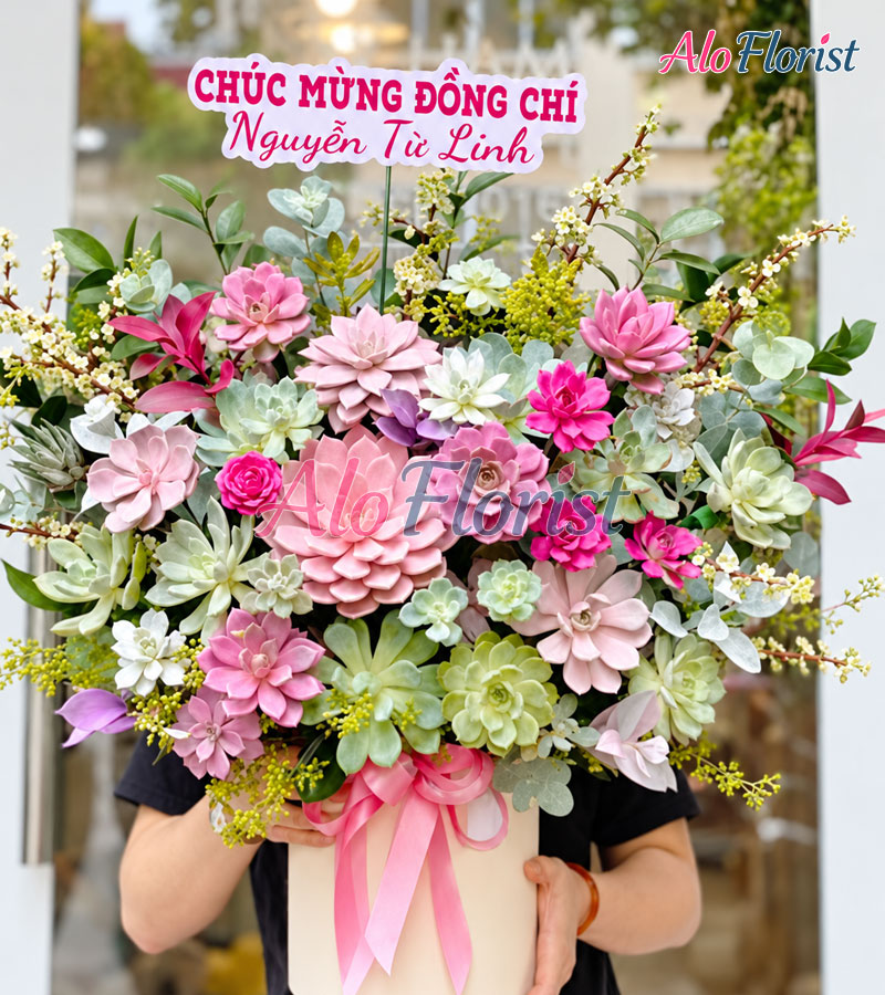 Mộng Hồng Dịu Êm Alo-SD-006