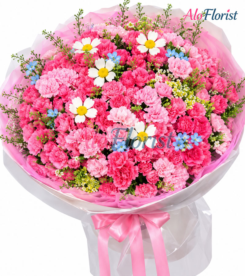 Nắng Hồng Rực Rỡ Alo-TY-010