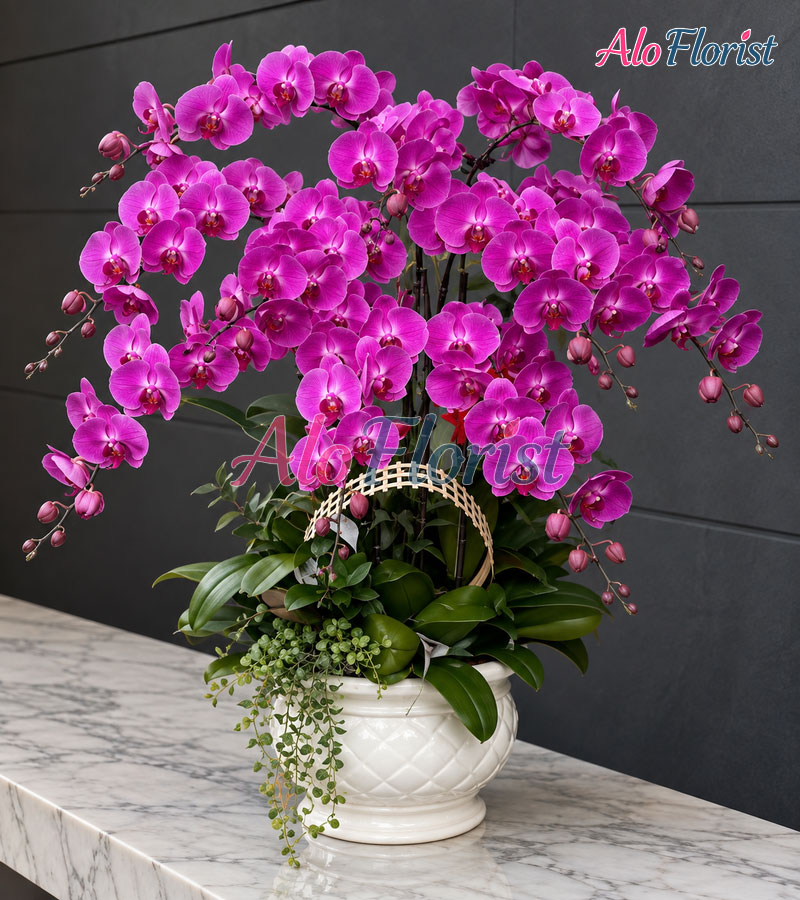 ngoc-lan-phu-quy-alo-lhd-015-2-aloflorist