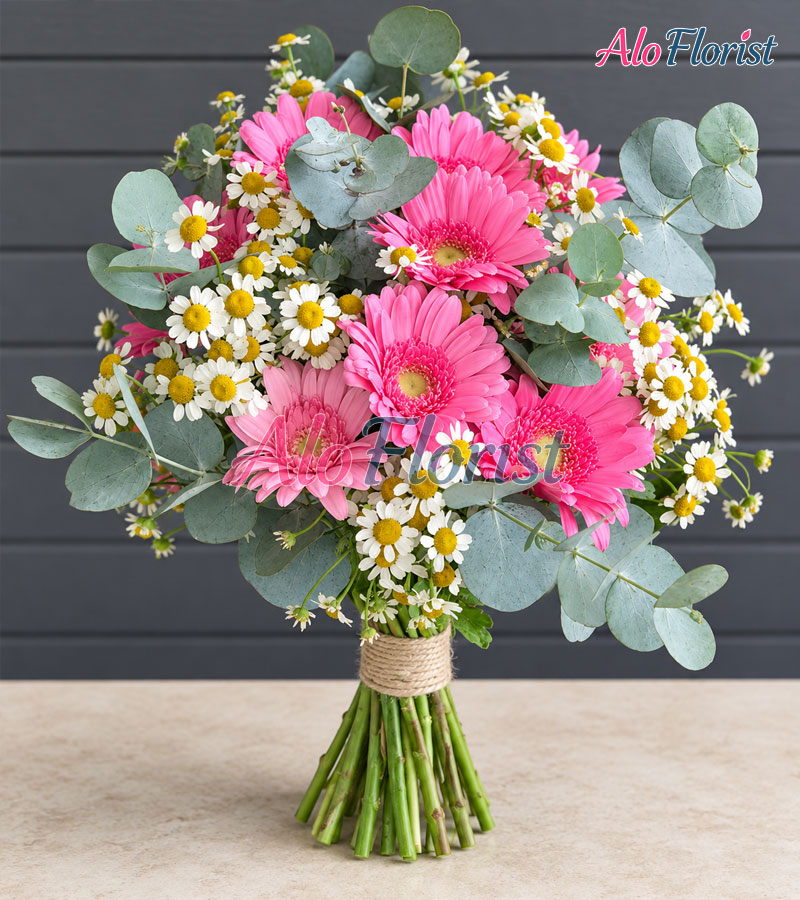 Ngôi Nhà Hạnh Phúc Alo-HC-001