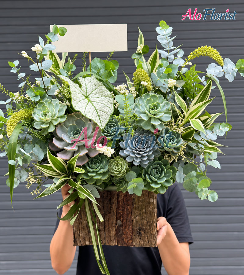 sac-xanh-sinh-soi-alo-sd-011-aloflorist