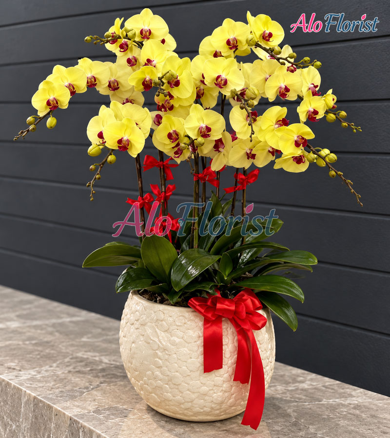van-loc-khai-hoa-alo-lhd-026-2-aloflorist