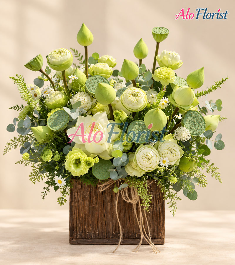 huy-hoang-alo-hs-016-1-aloflorist